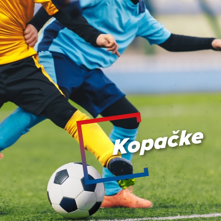 990X390_category_cro12.jpg