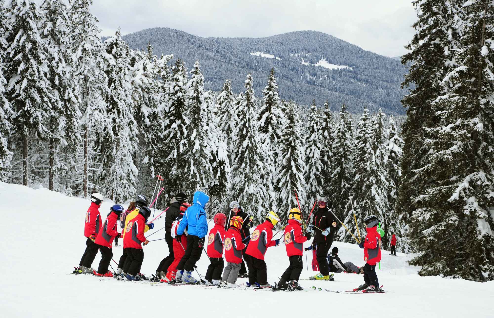 Škola skijanja