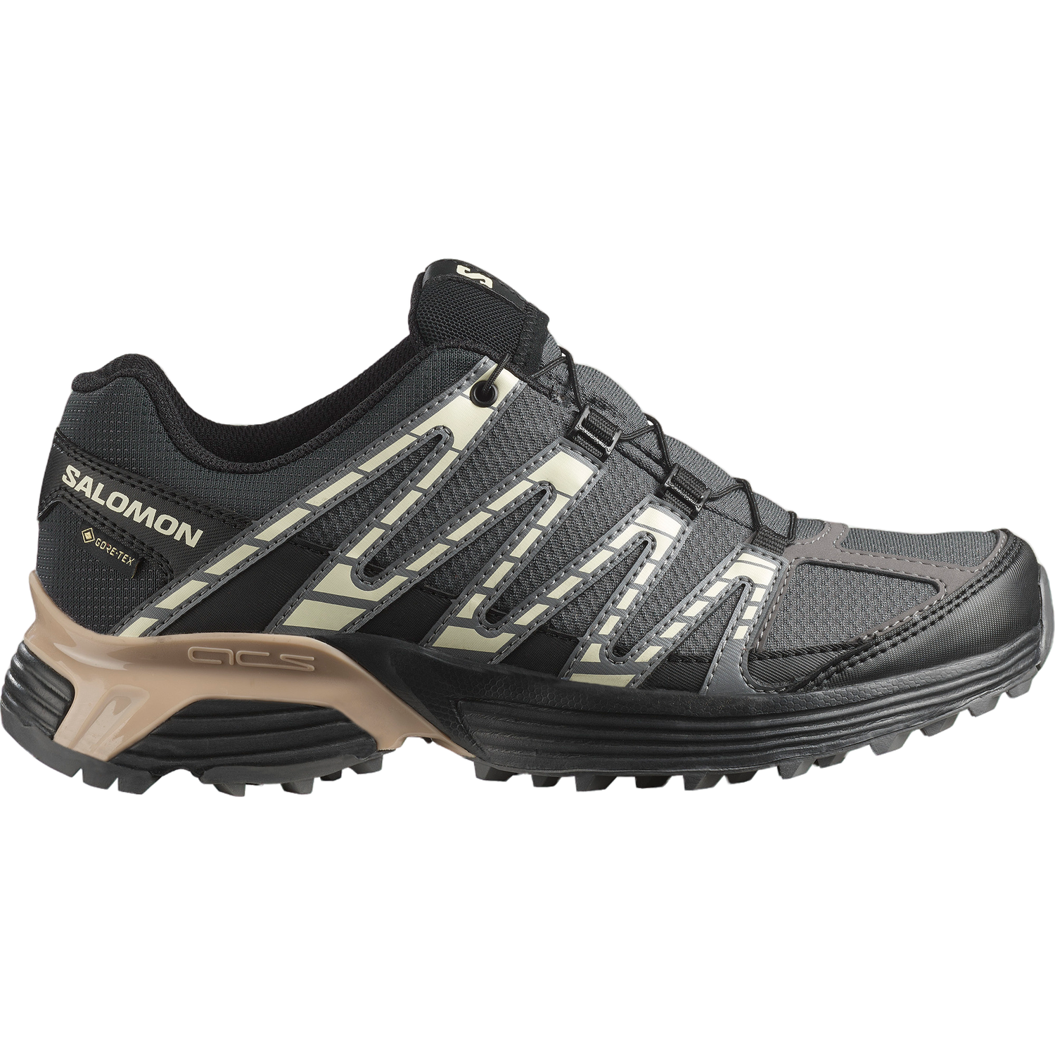 Salomon XT RECKON GTX