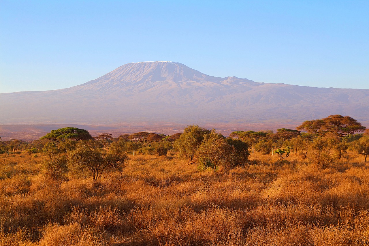 Uspon na Kilimanjaro