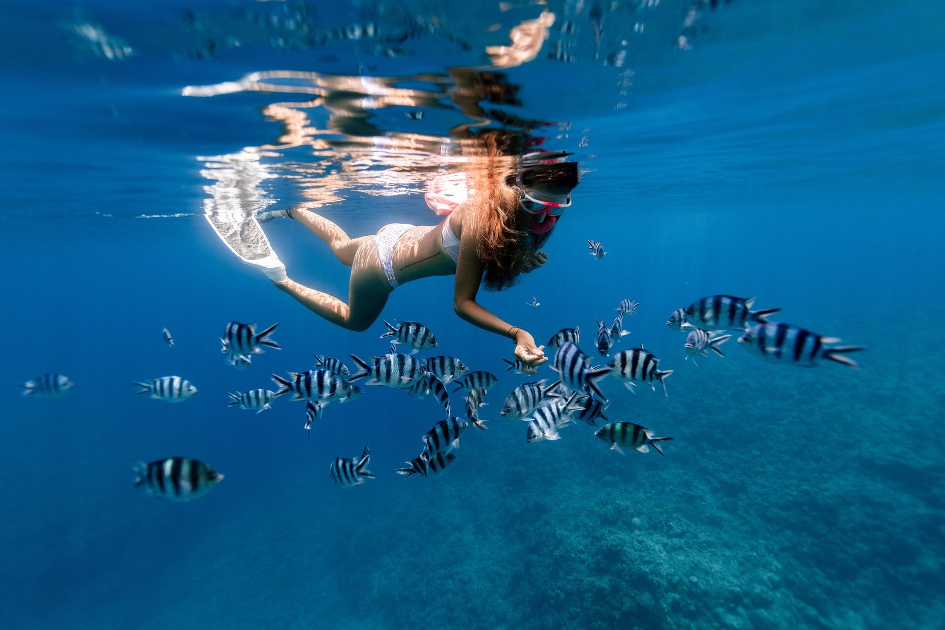 Ronjenje i snorkeling otvaraju vam oči prema novom svijetu.