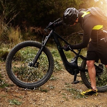 ebike
