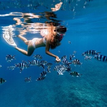 Sve o ronjenju i snorkelingu