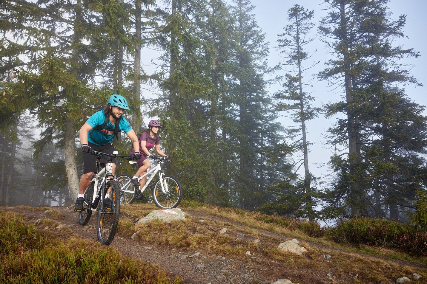 Biciklom po Sljemenu